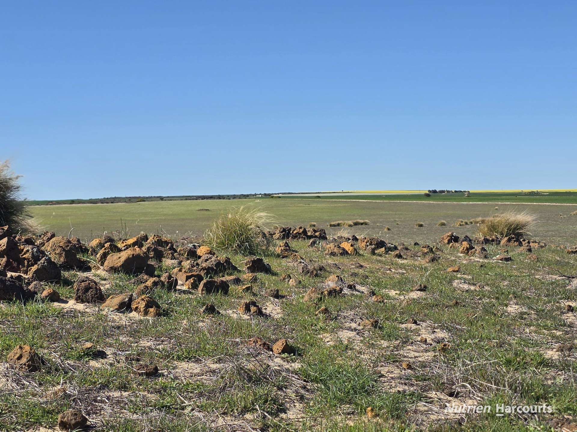 Lot 13 Port Gregory Road, Yallabatharra For Sale by Farmbuy.com - image 8