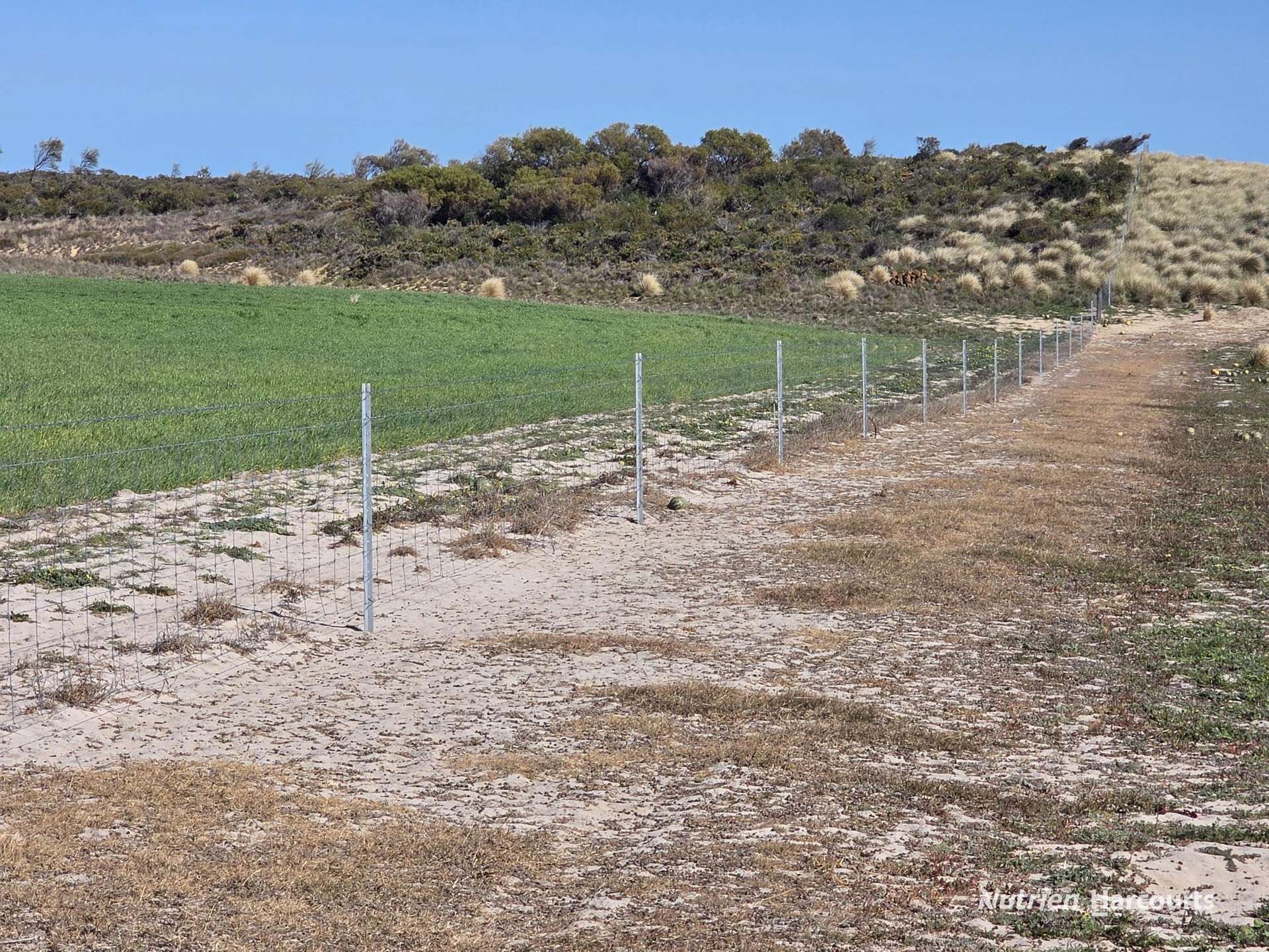 Lot 13 Port Gregory Road, Yallabatharra For Sale by Farmbuy.com - image 4