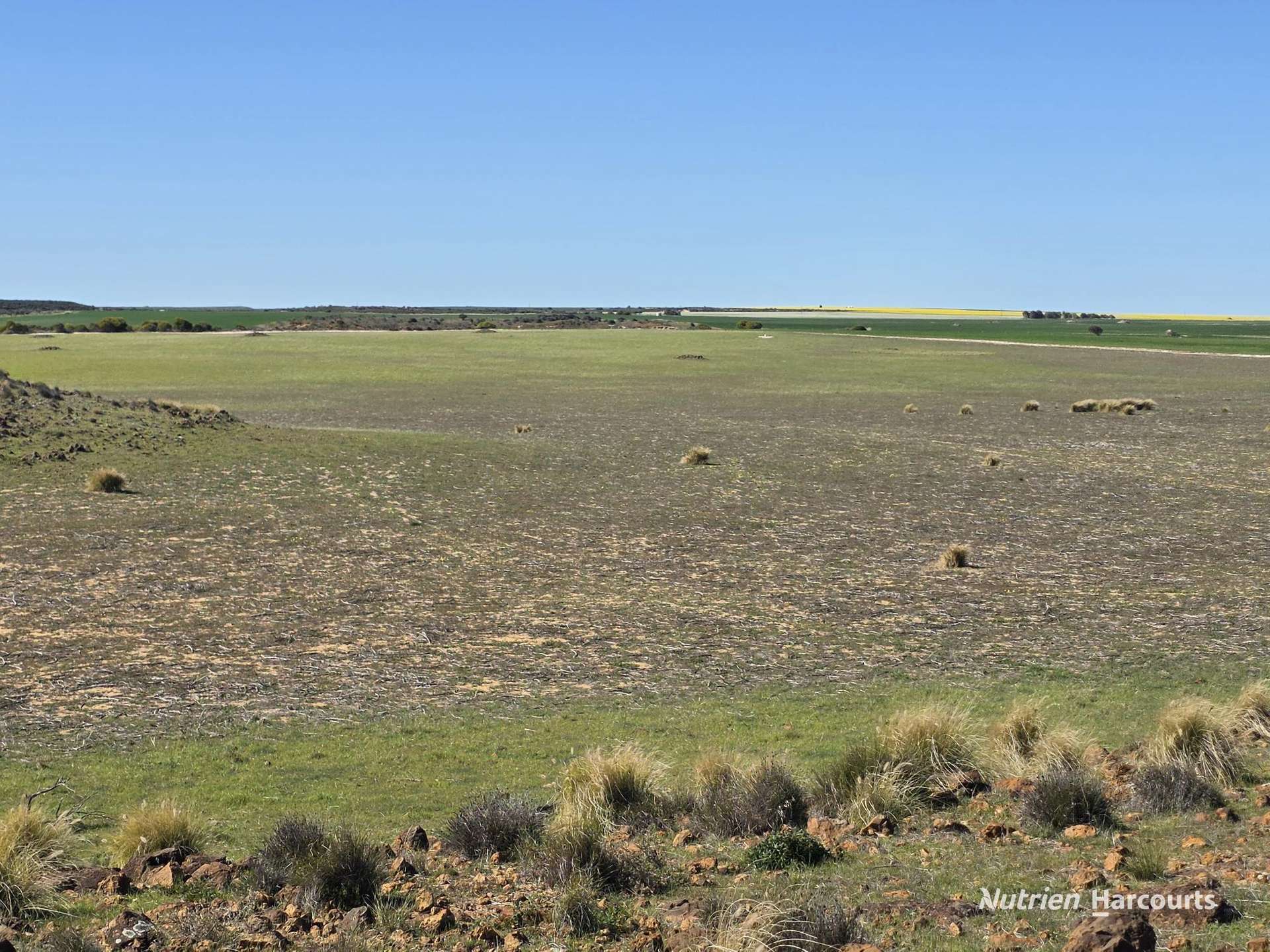 Lot 13 Port Gregory Road, Yallabatharra For Sale by Farmbuy.com - image 5
