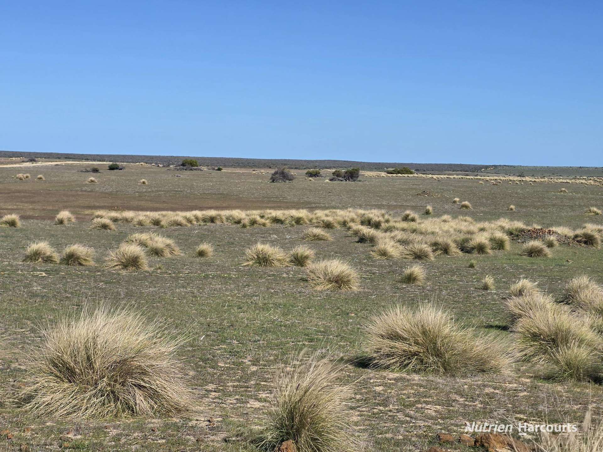 Lot 13 Port Gregory Road, Yallabatharra For Sale by Farmbuy.com - image 7