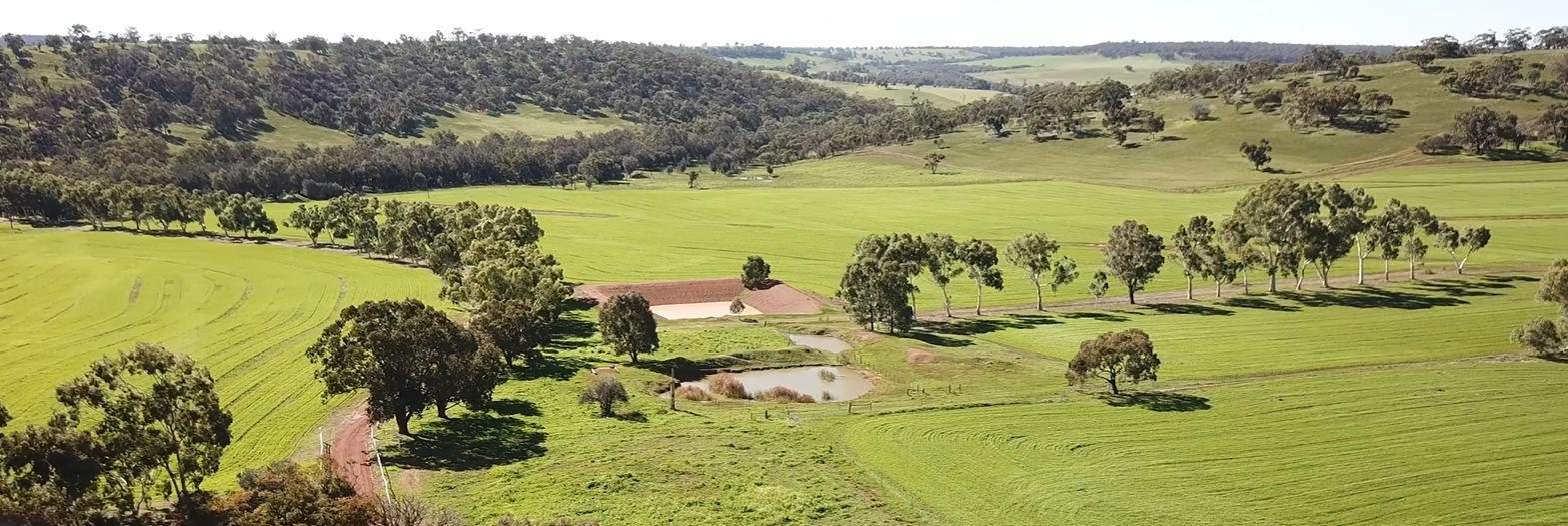 163 Wells Glover Road, Bindoon For Sale by Farmbuy.com - image 6