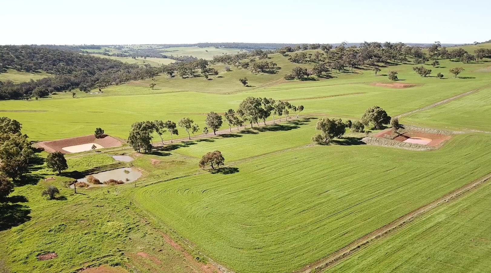 163 Wells Glover Road, Bindoon For Sale by Farmbuy.com - image 4