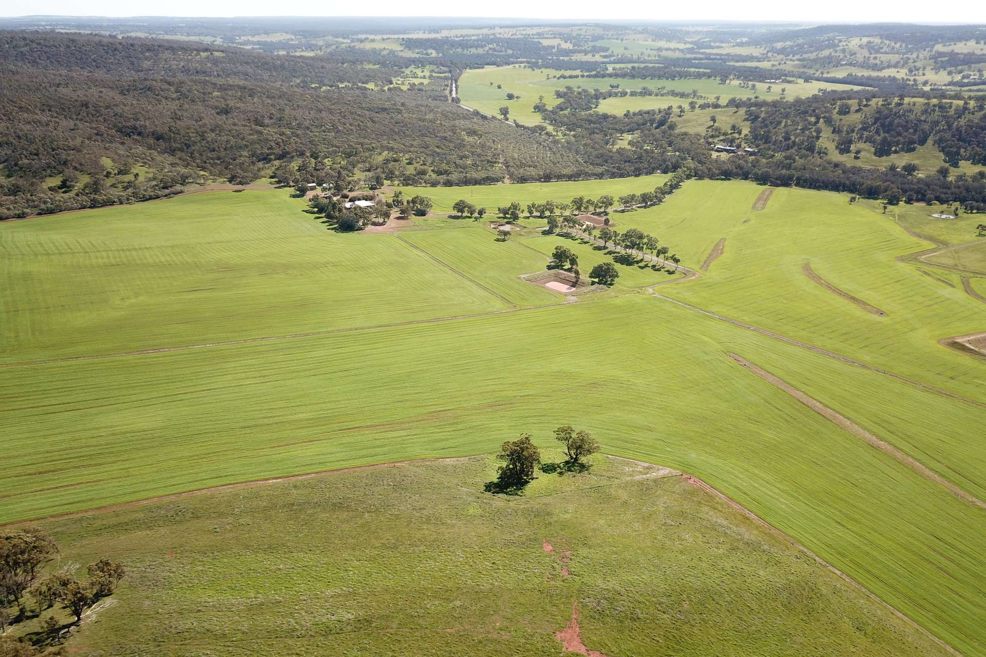 163 Wells Glover Road, Bindoon For Sale by Farmbuy.com - image 10