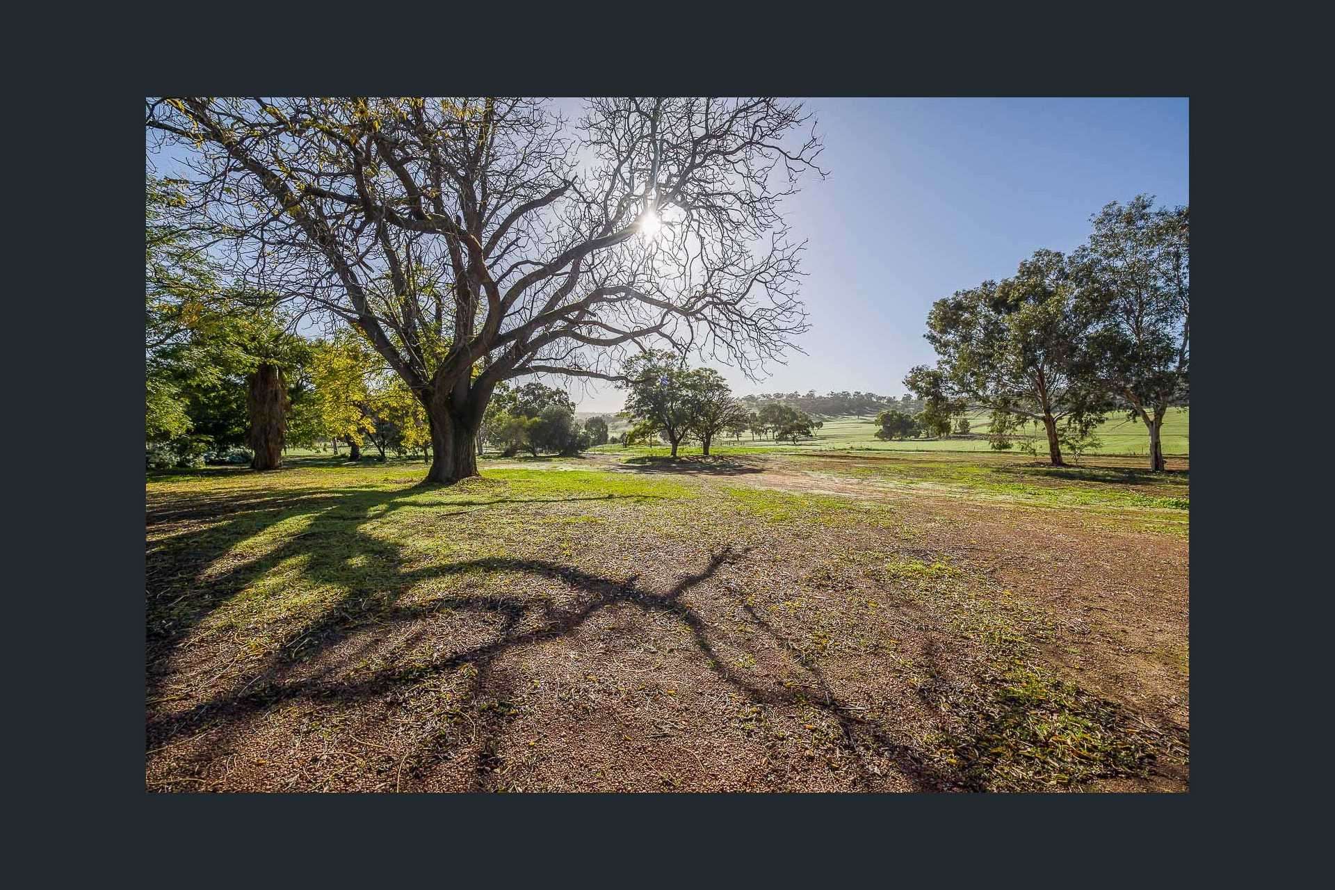 163 Wells Glover Road, Bindoon For Sale by Farmbuy.com - image 24