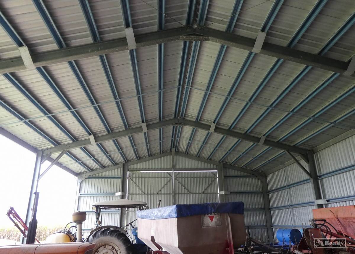 Bellenden Ker For Sale by Farmbuy.com - image 12