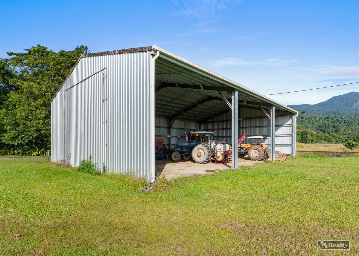 Bellenden Ker For Sale by Farmbuy.com - image 10