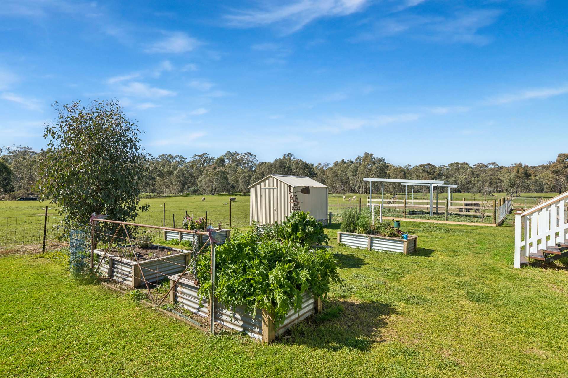 205 Hirds Road, Heathcote For Sale by Farmbuy.com - image 12