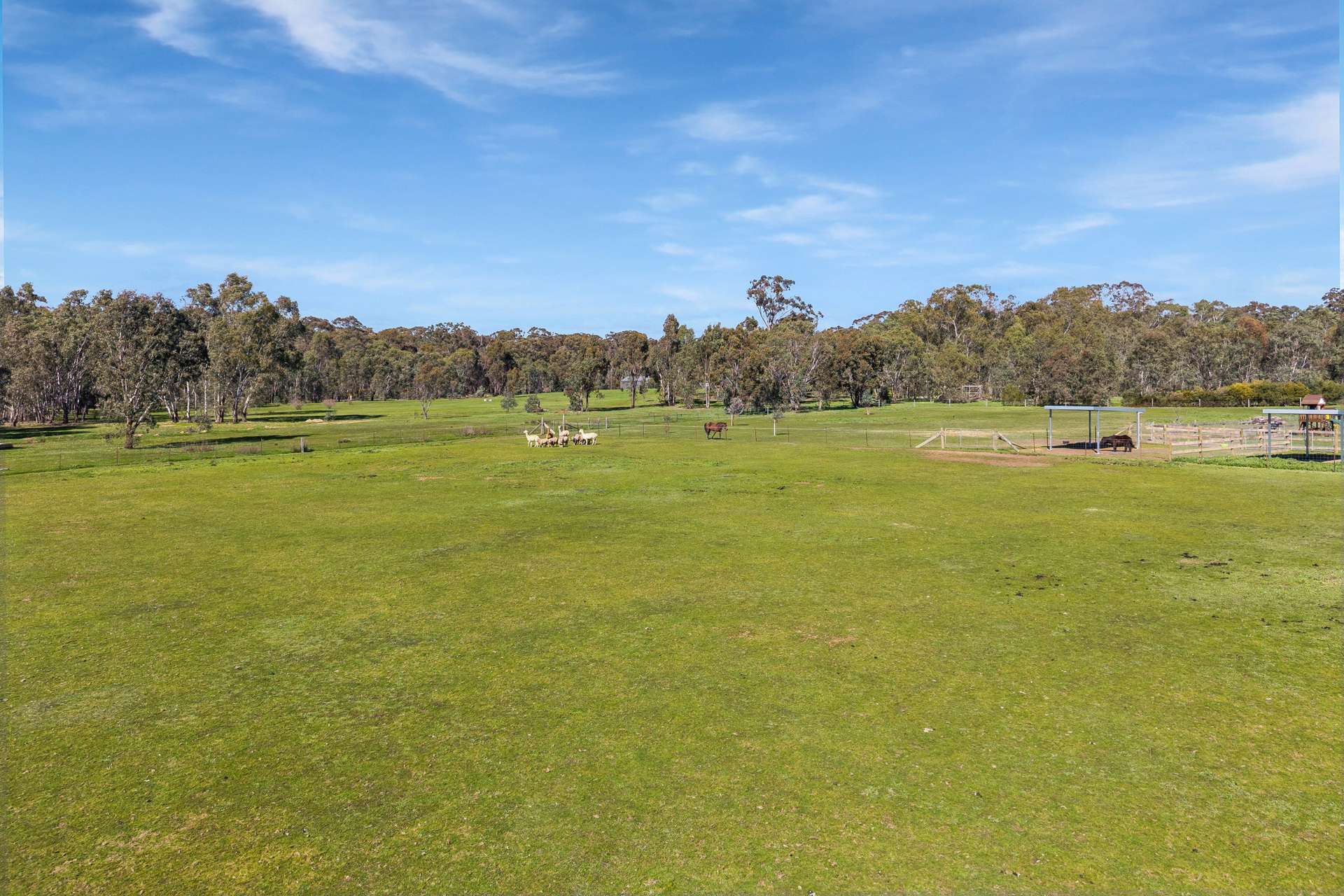 205 Hirds Road, Heathcote For Sale by Farmbuy.com - image 19