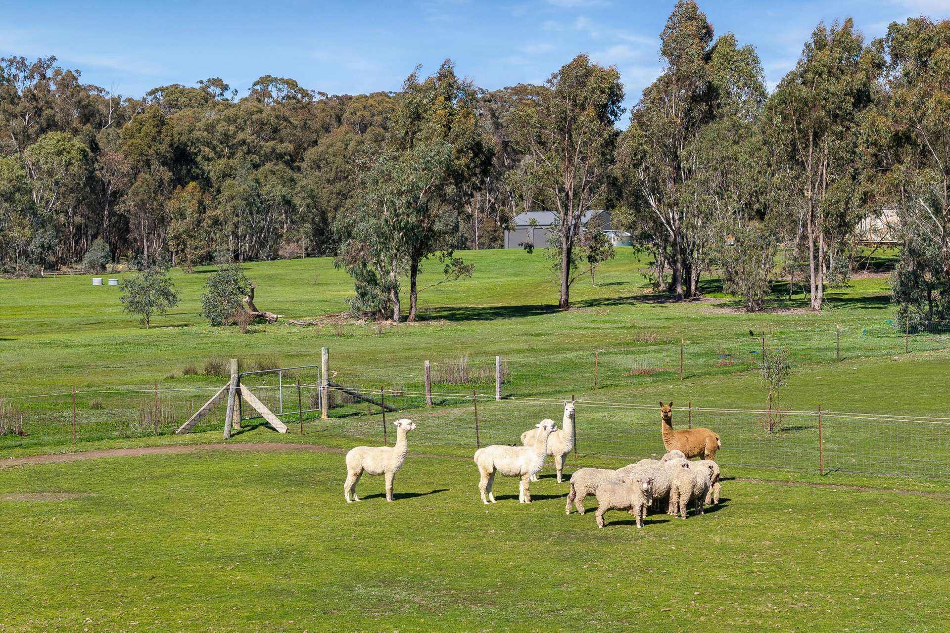 205 Hirds Road, Heathcote For Sale by Farmbuy.com - image 15