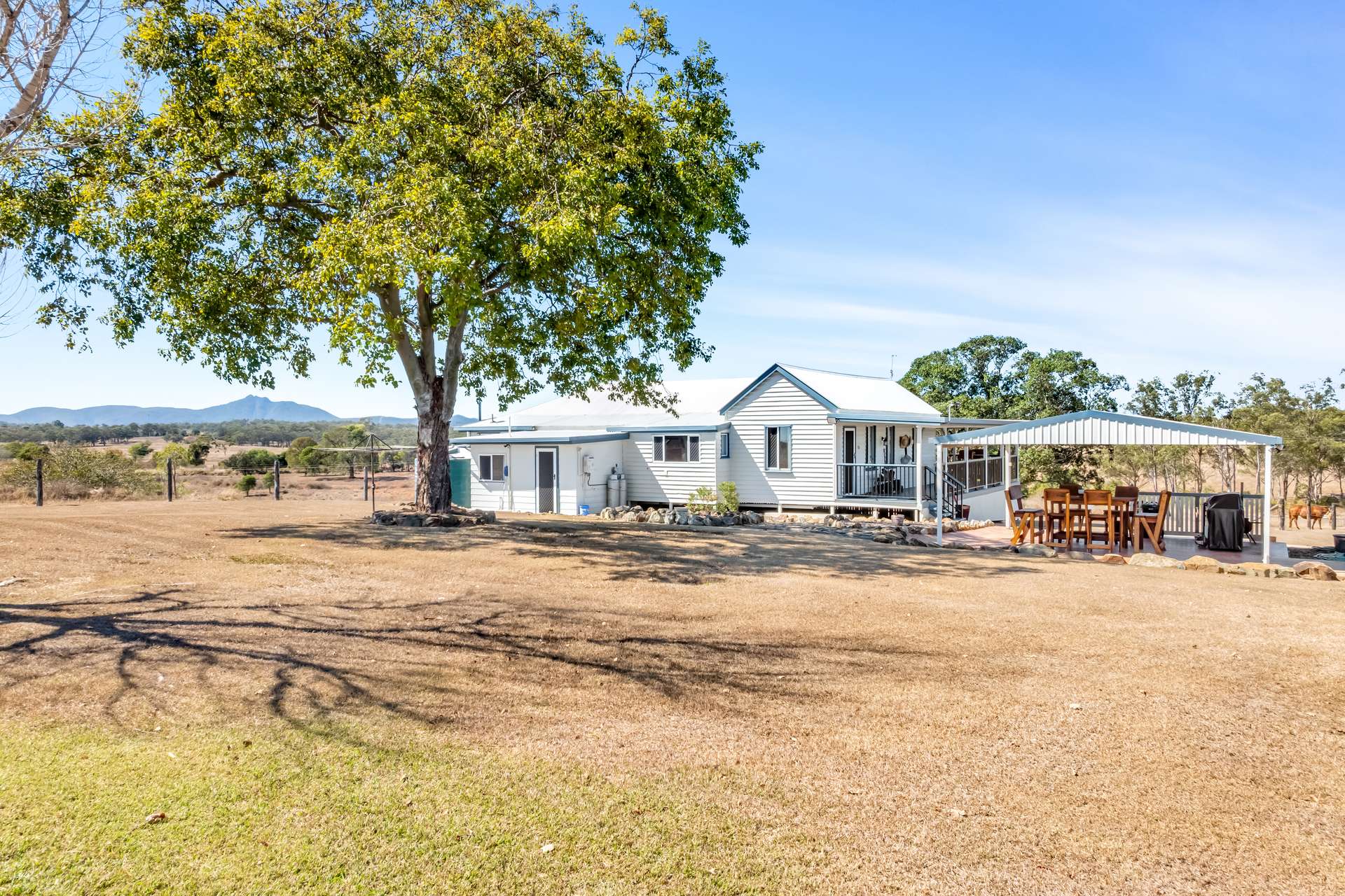 356 Mount Larcom-Bracewell Road, Machine Creek For Sale by Farmbuy.com - image 3