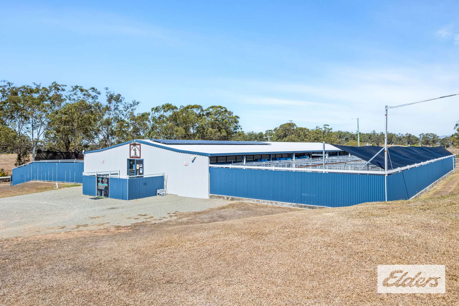 356 Mount Larcom-Bracewell Road, Machine Creek For Sale by Farmbuy.com - image 6