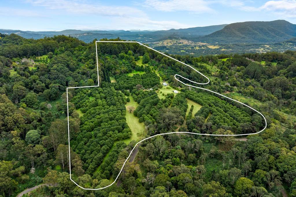 1005 TUNTABLE CREEK ROAD, Nimbin NSW 2480