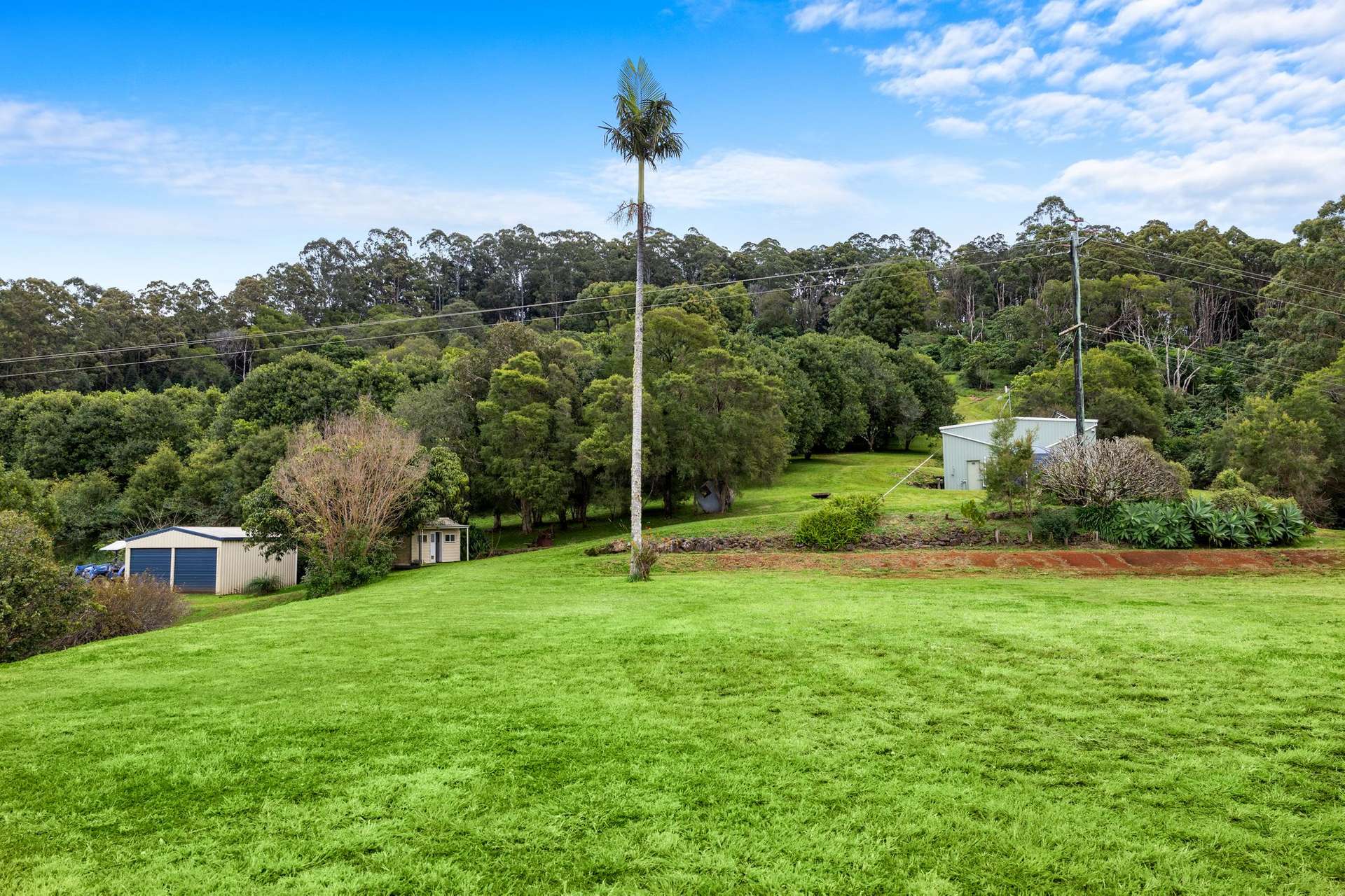 1005 TUNTABLE CREEK ROAD, Nimbin For Sale by Farmbuy.com - image 8