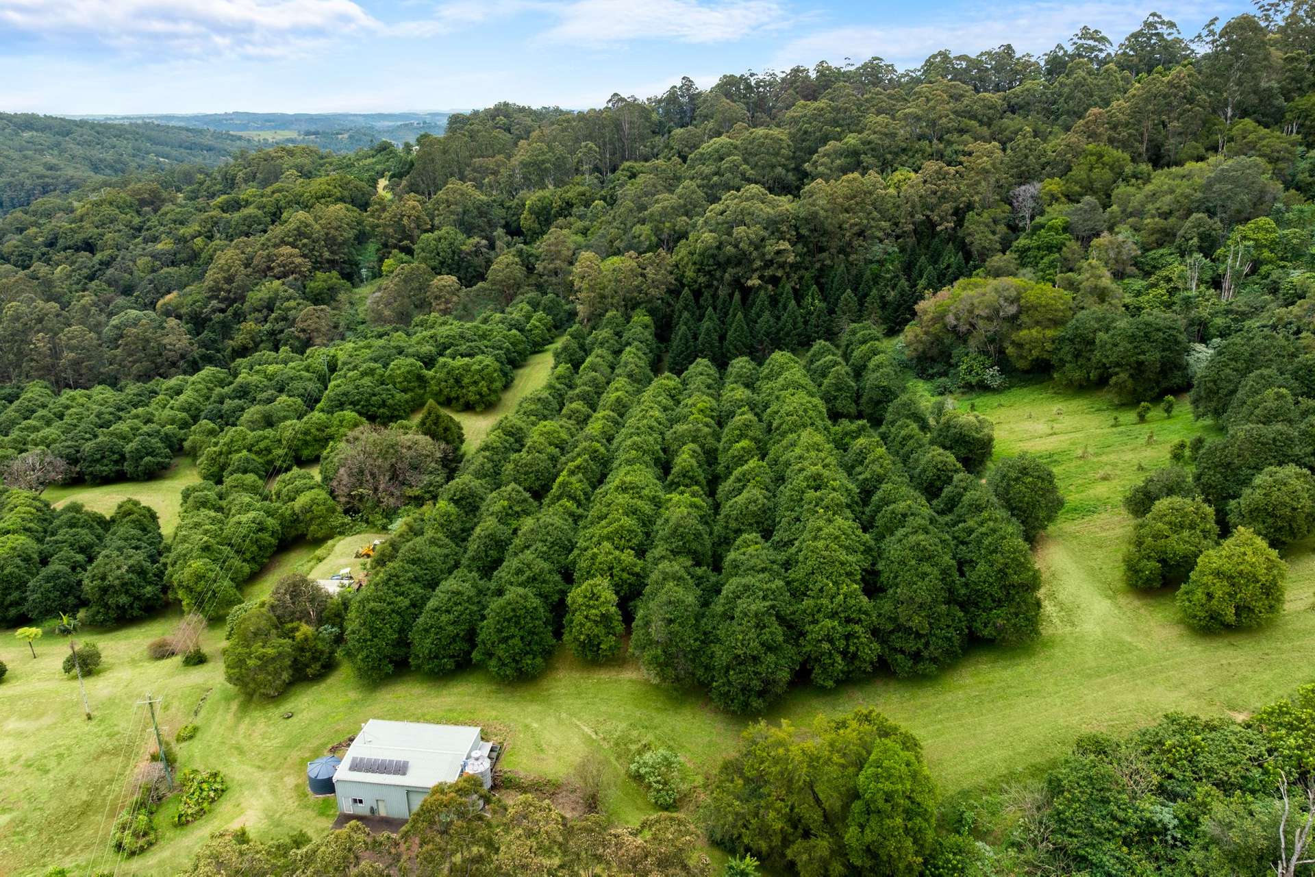 1005 TUNTABLE CREEK ROAD, Nimbin For Sale by Farmbuy.com - image 14