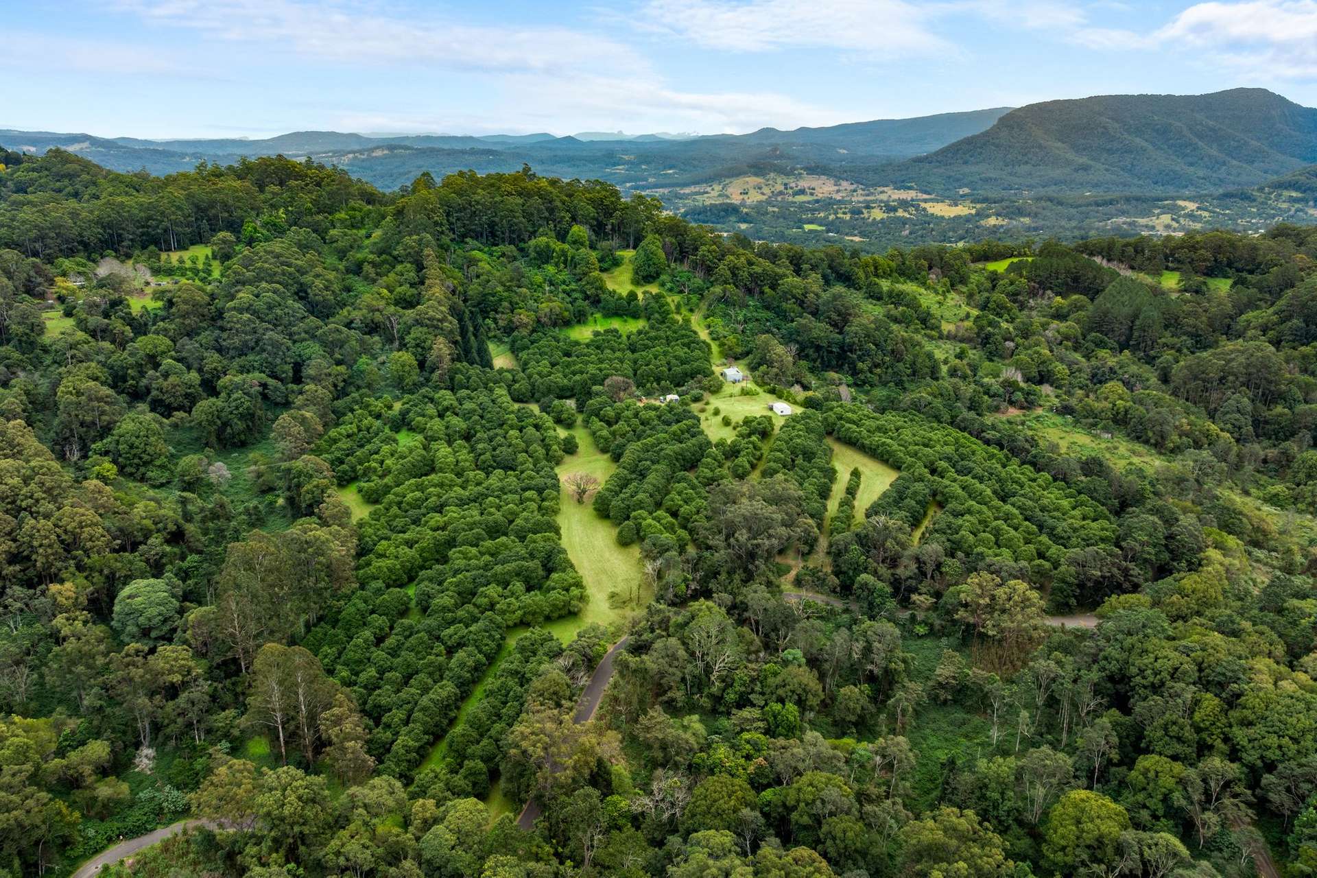1005 TUNTABLE CREEK ROAD, Nimbin For Sale by Farmbuy.com - image 13