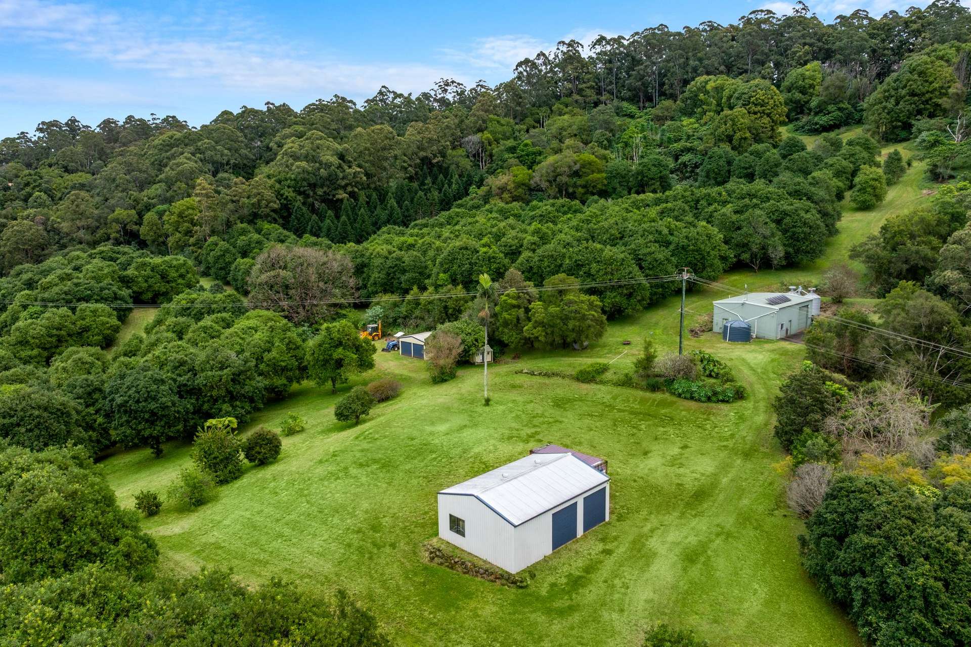 1005 TUNTABLE CREEK ROAD, Nimbin For Sale by Farmbuy.com - image 18