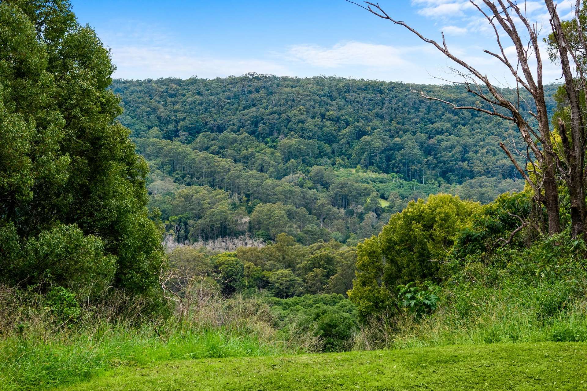 1005 TUNTABLE CREEK ROAD, Nimbin For Sale by Farmbuy.com - image 19