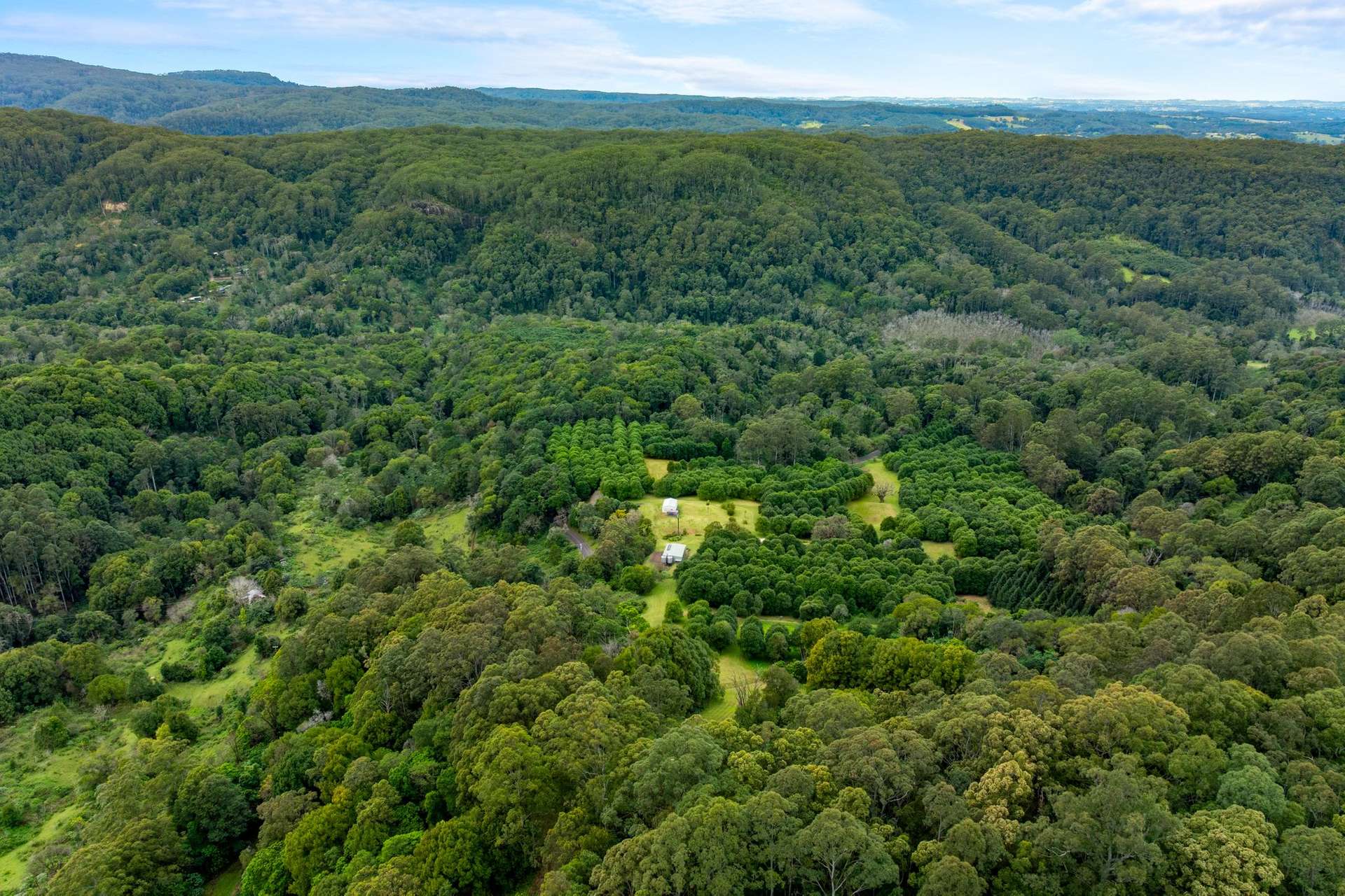 1005 TUNTABLE CREEK ROAD, Nimbin For Sale by Farmbuy.com - image 15