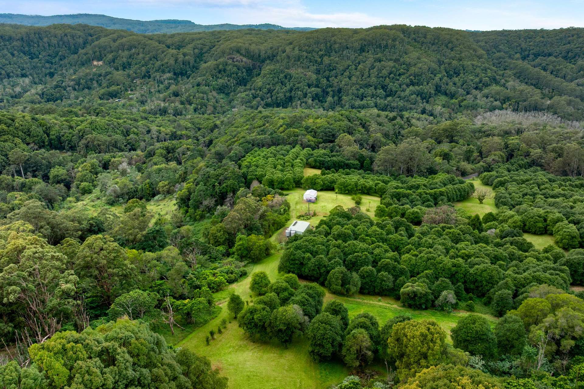 1005 TUNTABLE CREEK ROAD, Nimbin For Sale by Farmbuy.com - image 16