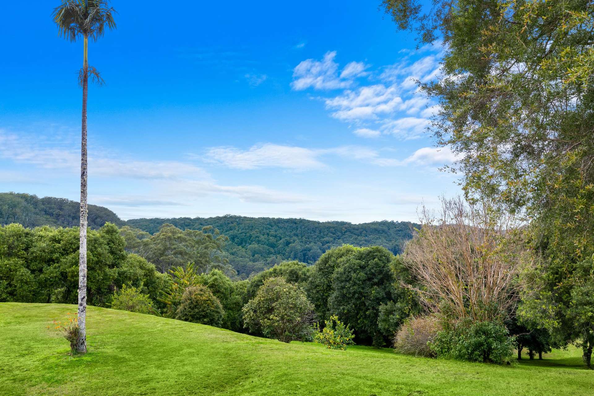 1005 TUNTABLE CREEK ROAD, Nimbin For Sale by Farmbuy.com - image 9