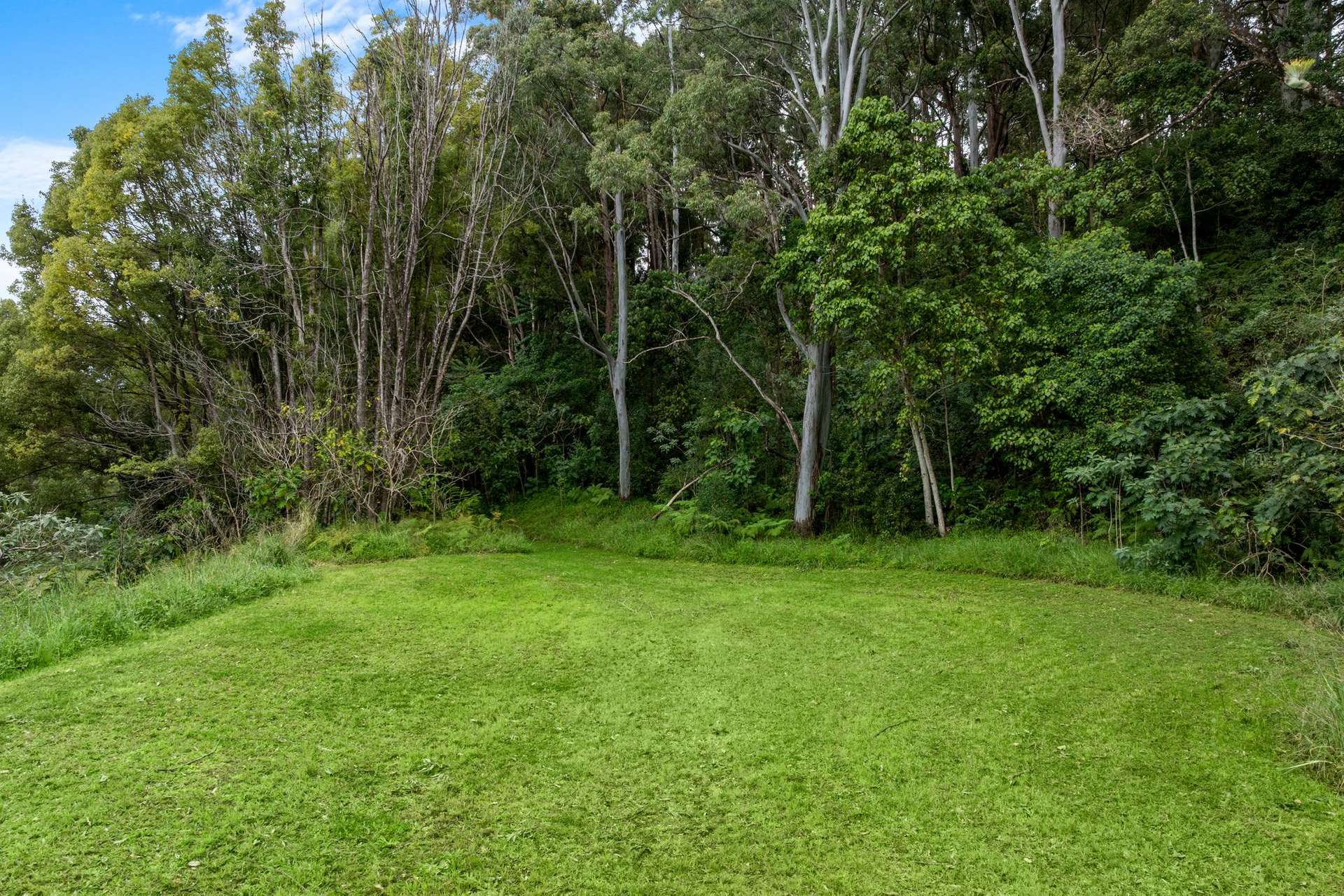 1005 TUNTABLE CREEK ROAD, Nimbin For Sale by Farmbuy.com - image 10