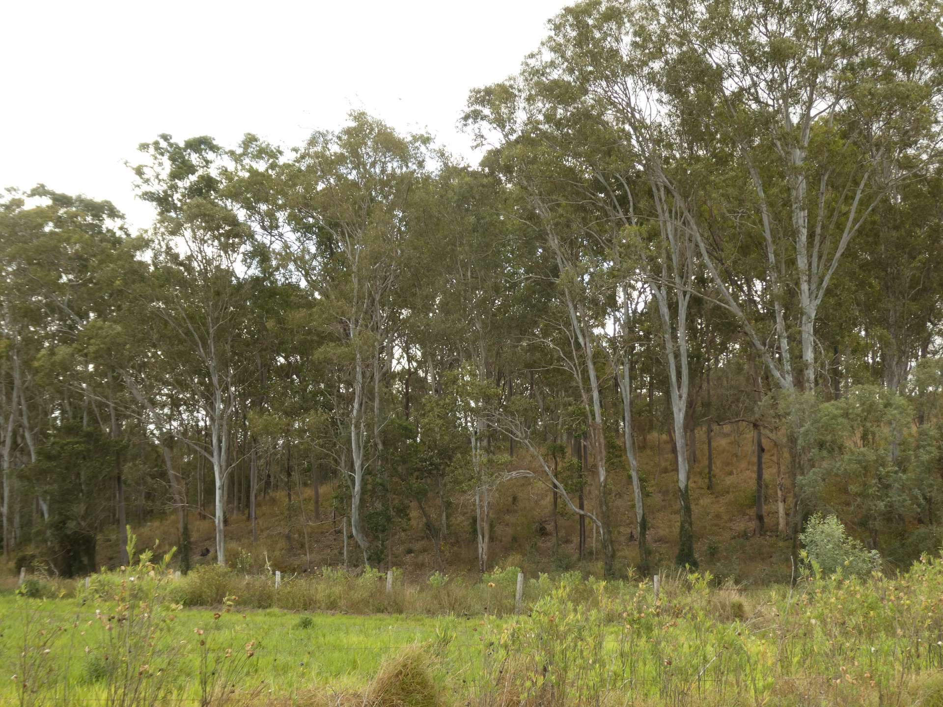672 Lower Lakeside Road, Lakeside For Sale by Farmbuy.com - image 12