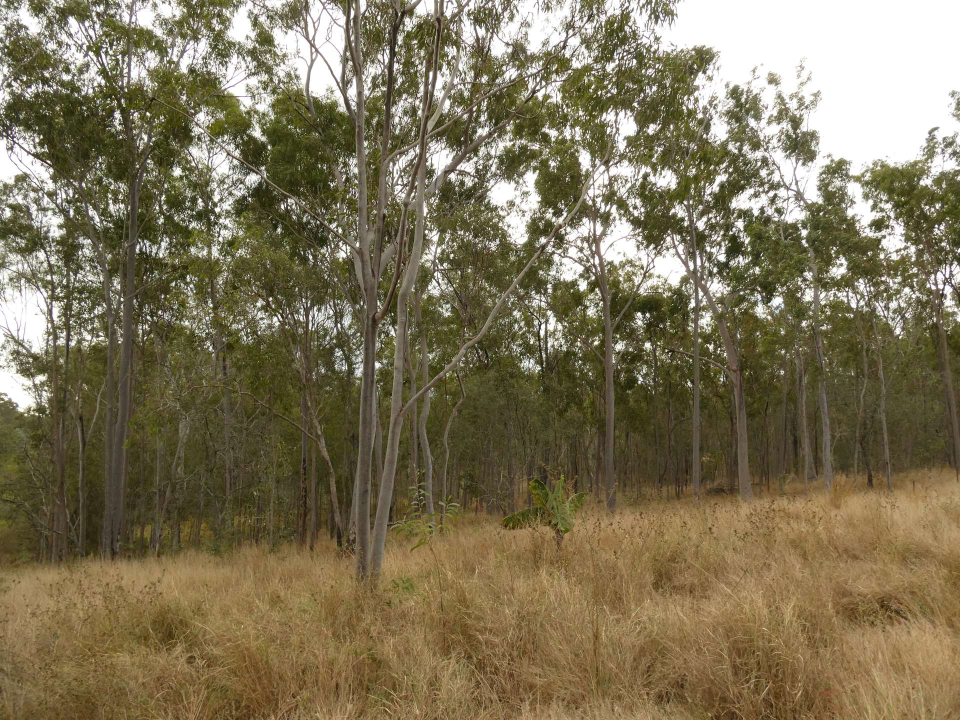 672 Lower Lakeside Road, Lakeside For Sale by Farmbuy.com - image 23