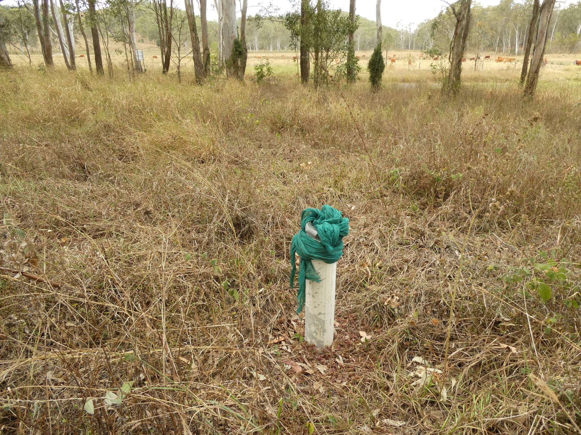 672 Lower Lakeside Road, Lakeside For Sale by Farmbuy.com - image 22