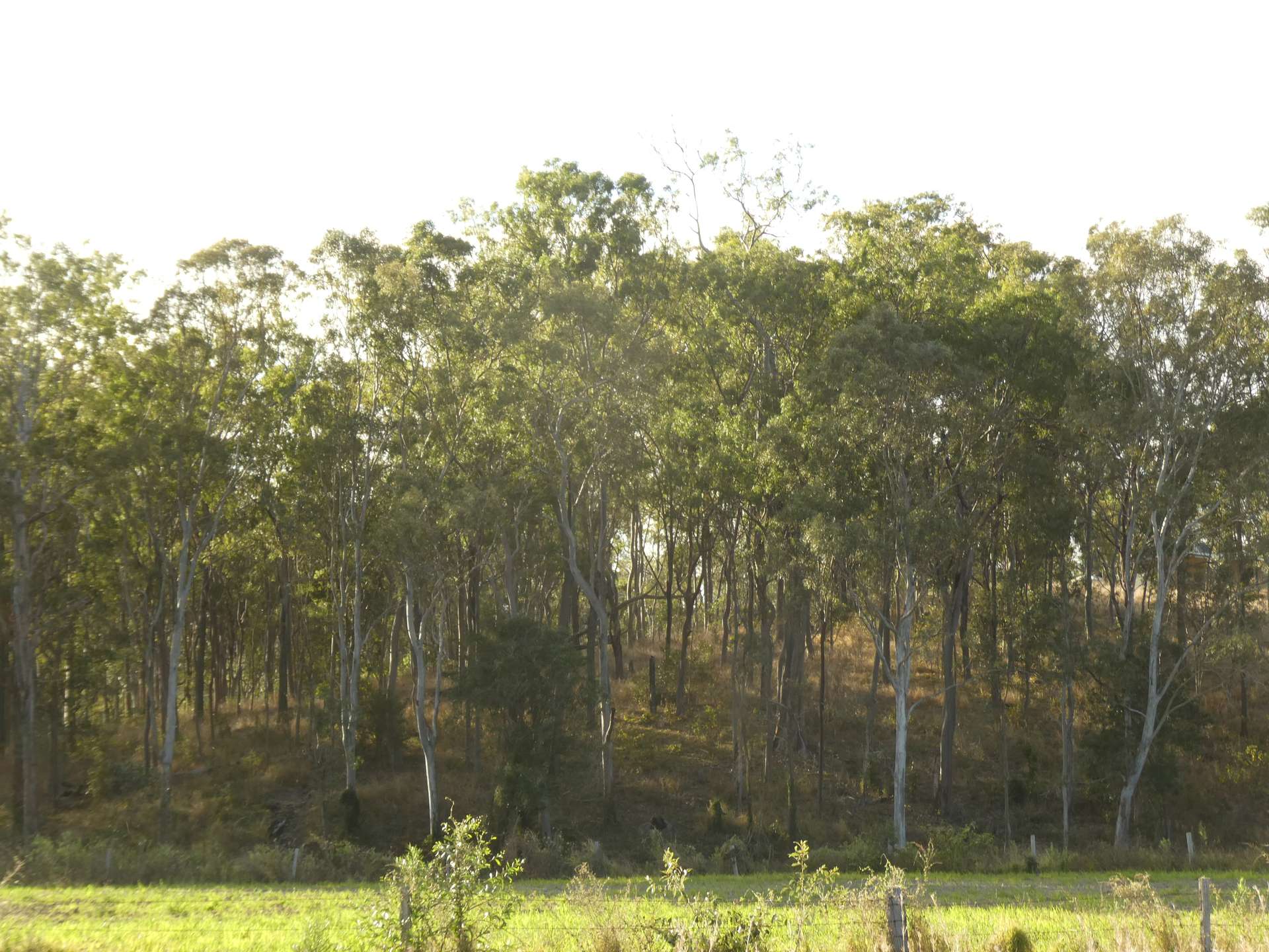 672 Lower Lakeside Road, Lakeside For Sale by Farmbuy.com - image 7