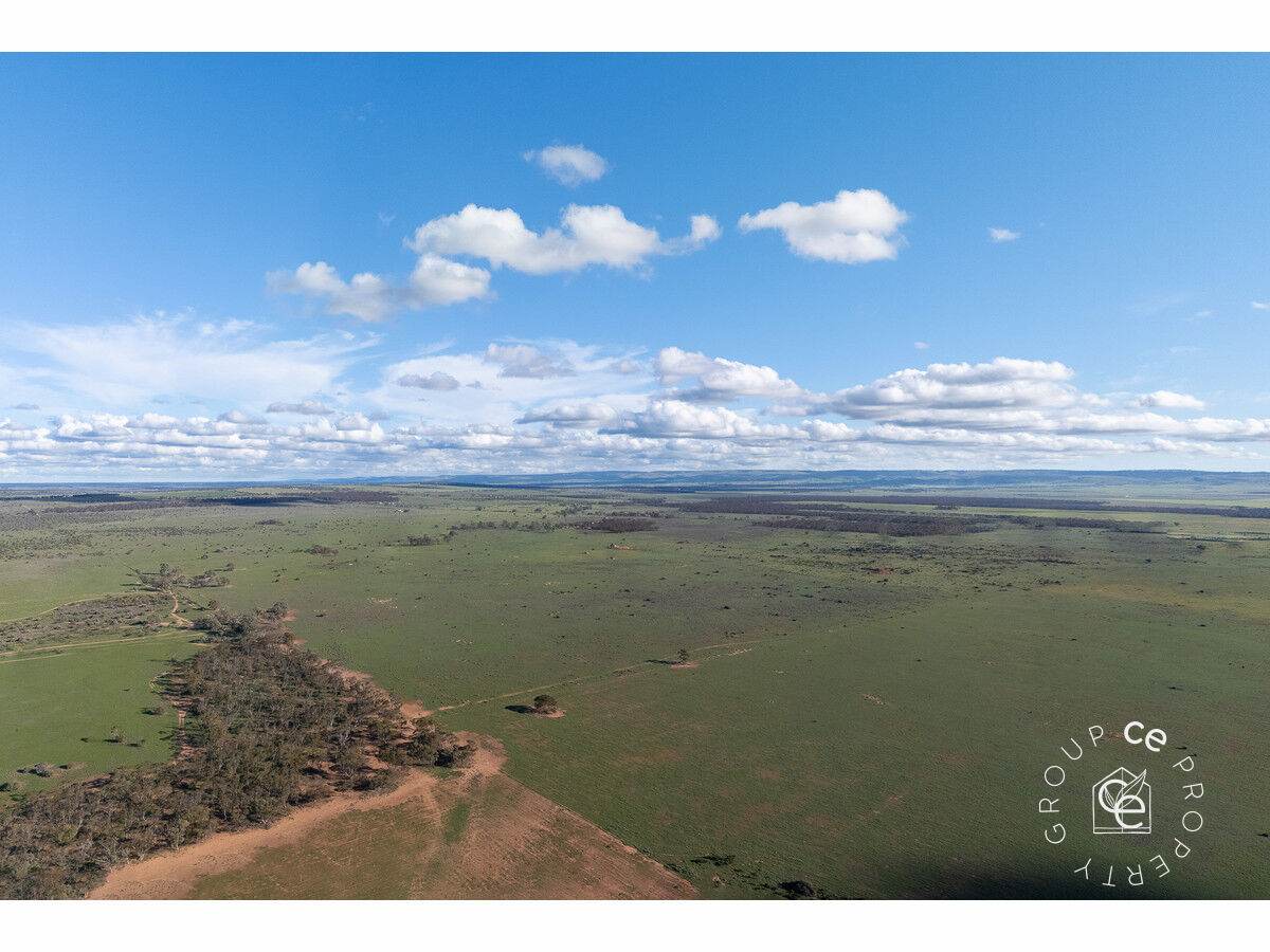 406 Sandleton Road, Sandleton For Sale by Farmbuy.com - image 21