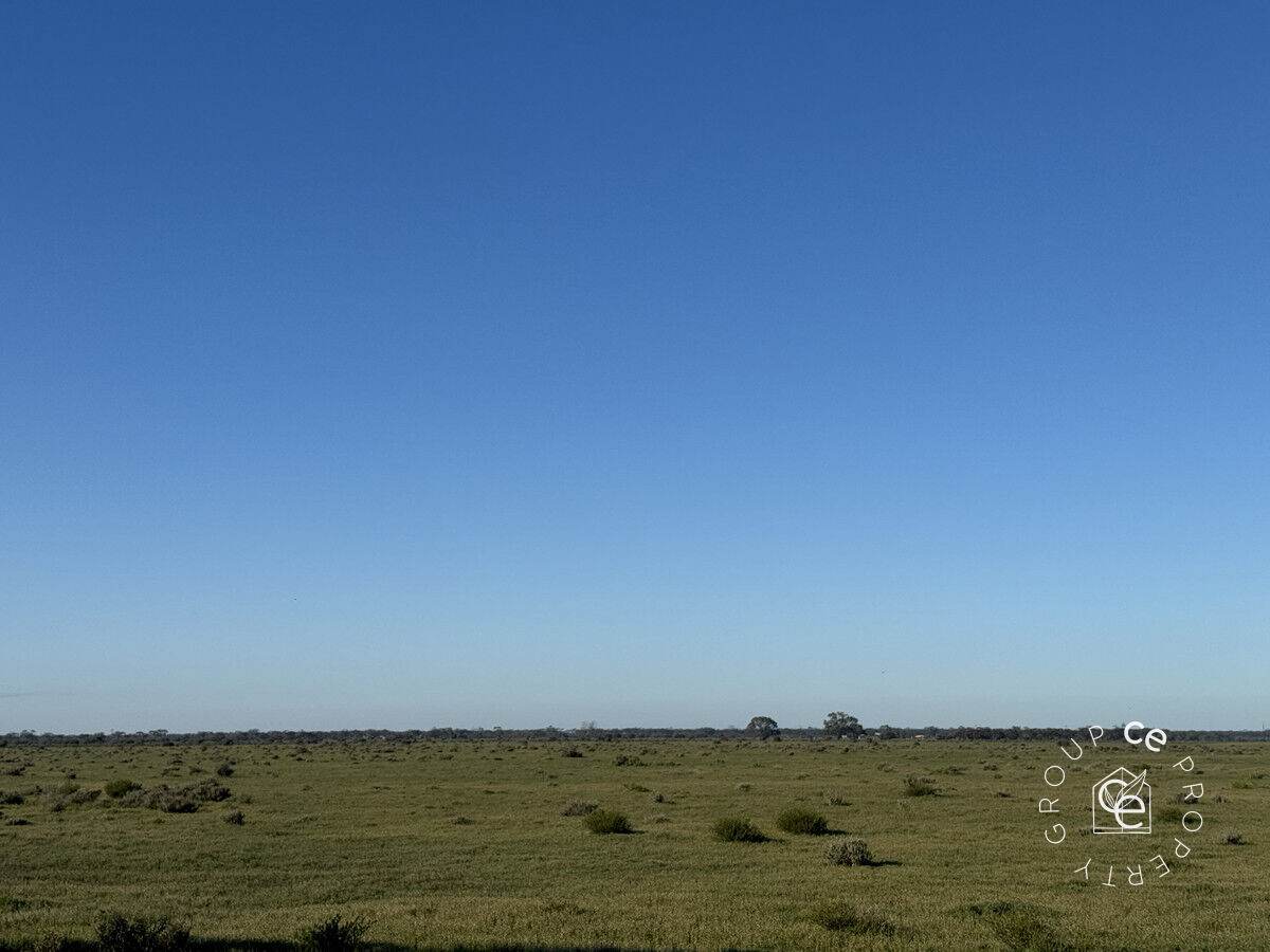 406 Sandleton Road, Sandleton For Sale by Farmbuy.com - image 35