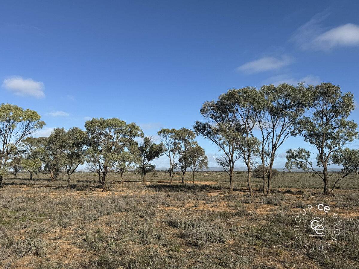 Section 195 Halfway House Road, Sandleton For Sale by Farmbuy.com - image 9