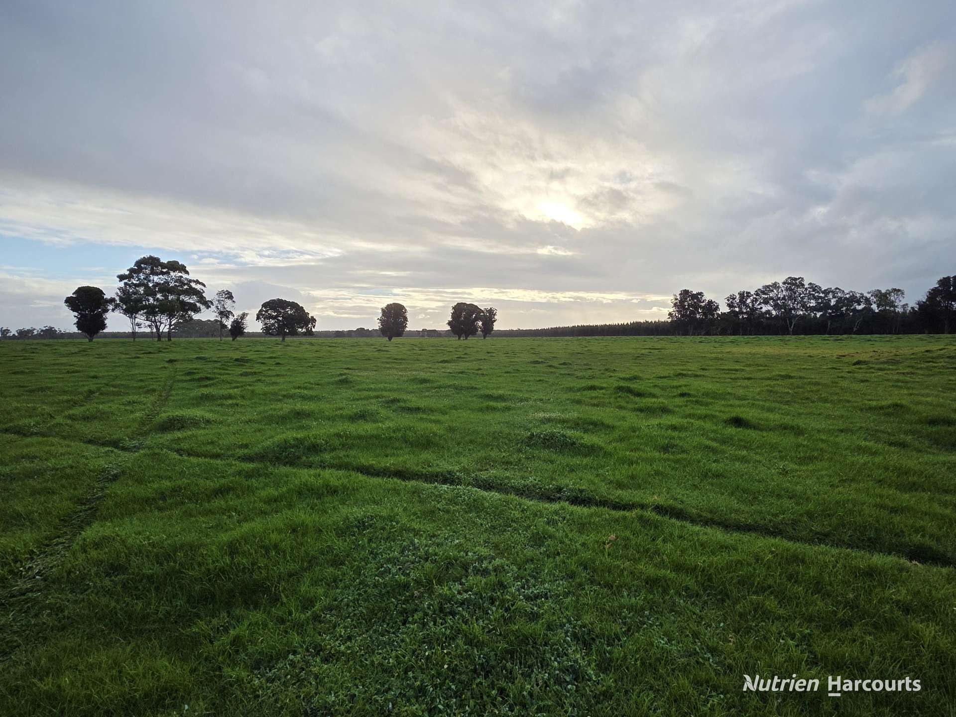 35350 Albany Highway, Drome For Sale by Farmbuy.com - image 1