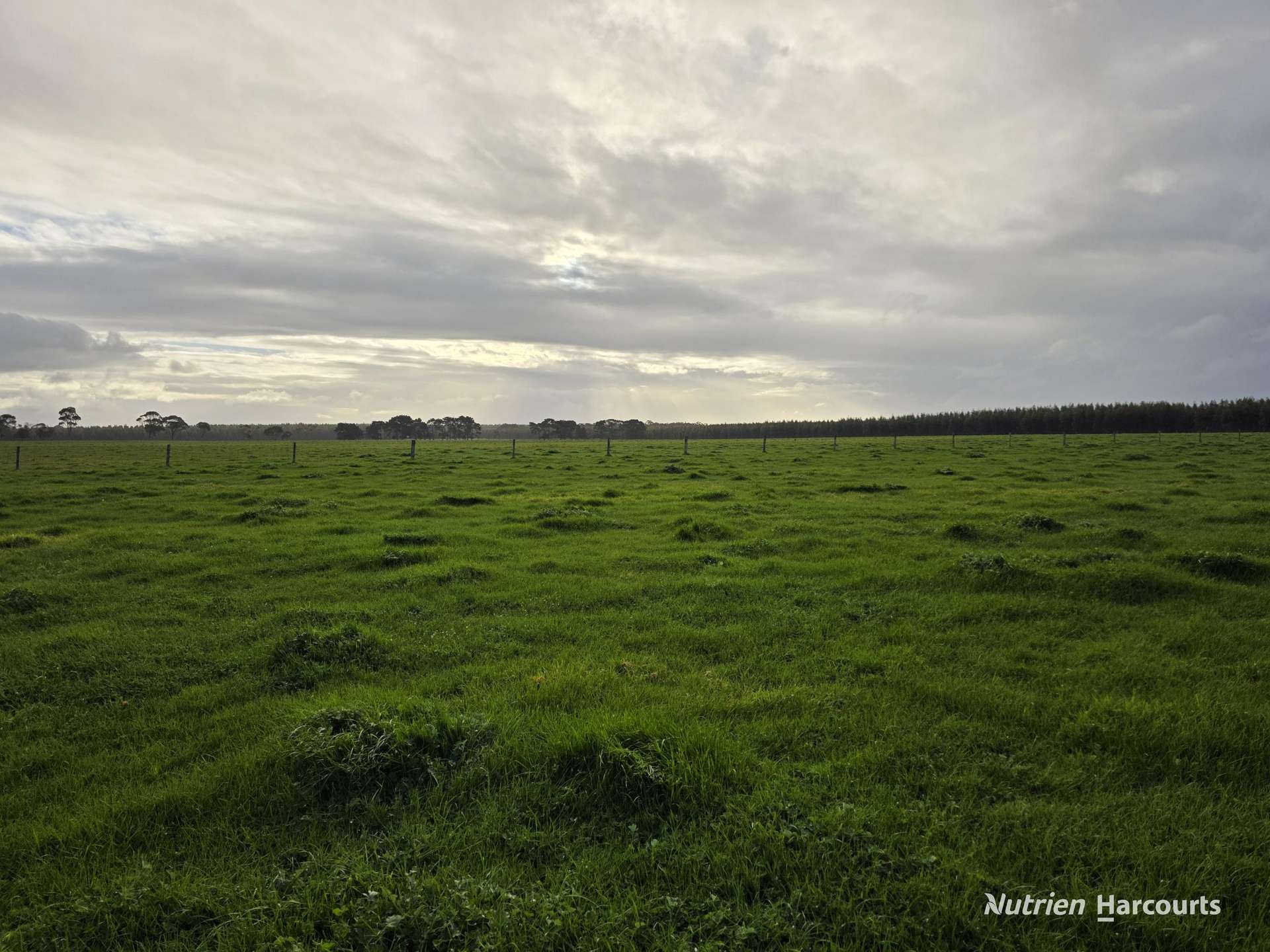 35350 Albany Highway, Drome For Sale by Farmbuy.com - image 3