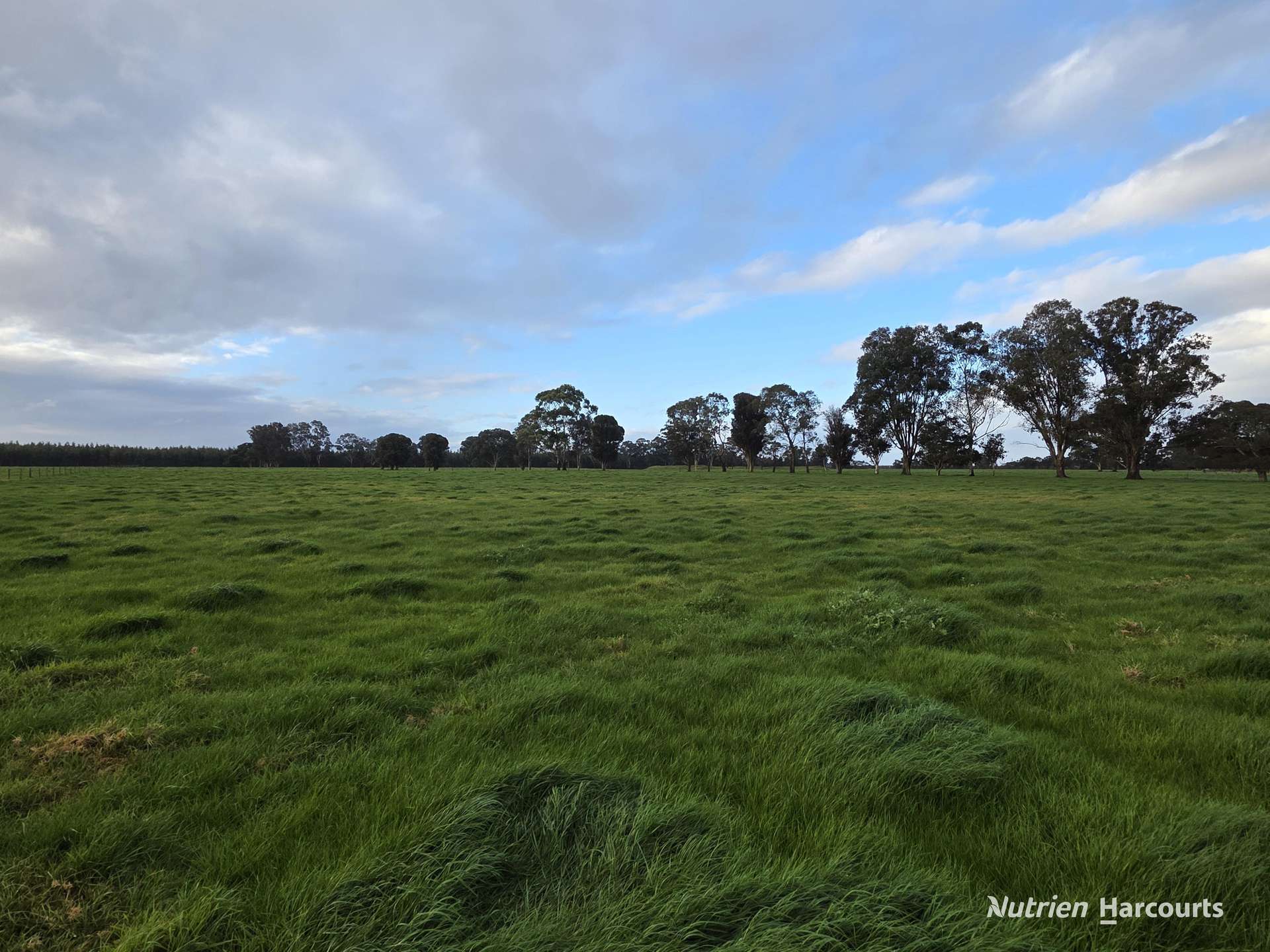 35350 Albany Highway, Drome For Sale by Farmbuy.com - image 5