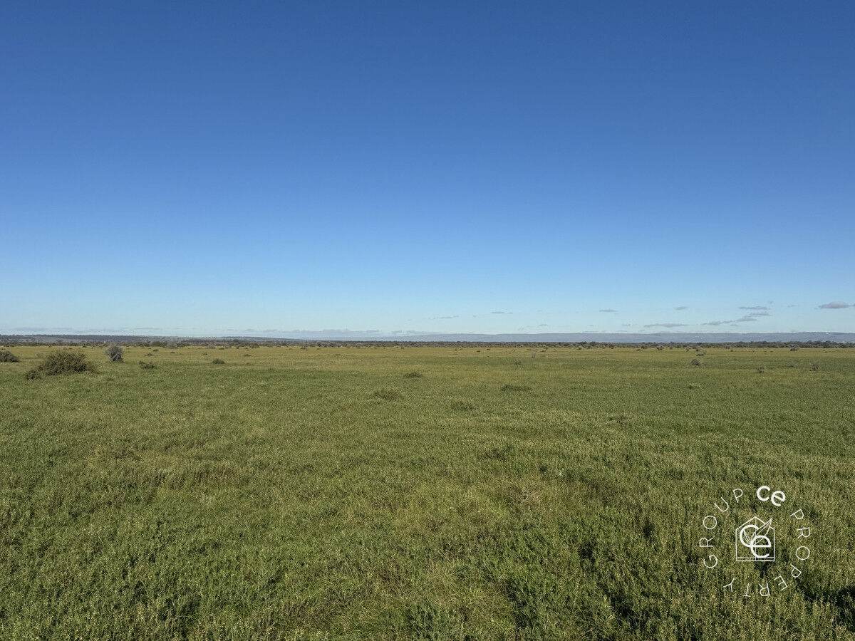 Section 189 Sandleton Road, Sandleton For Sale by Farmbuy.com - image 9