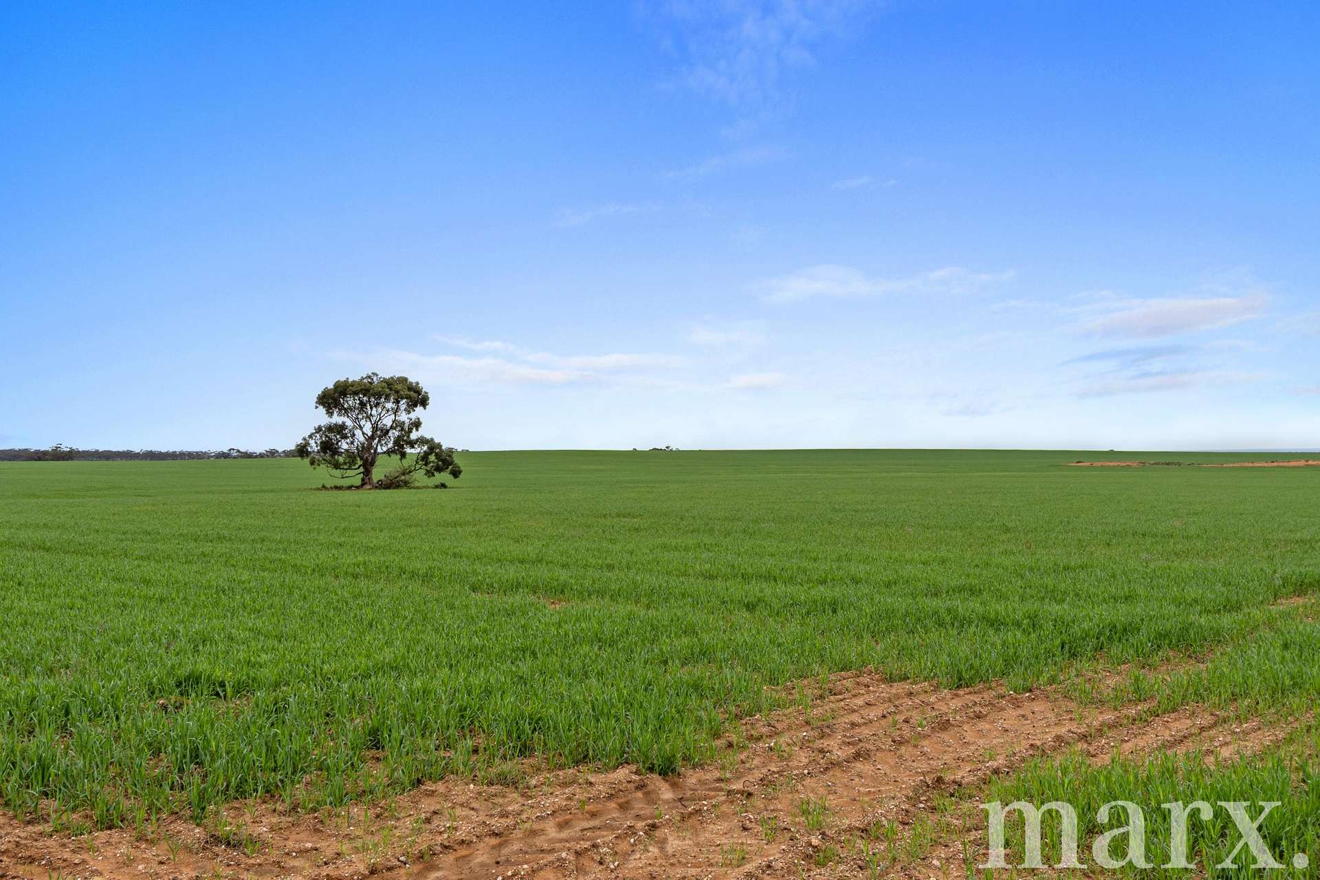 Lot 232 Old Railway Road, Steinfeld For Sale by Farmbuy.com - image 11