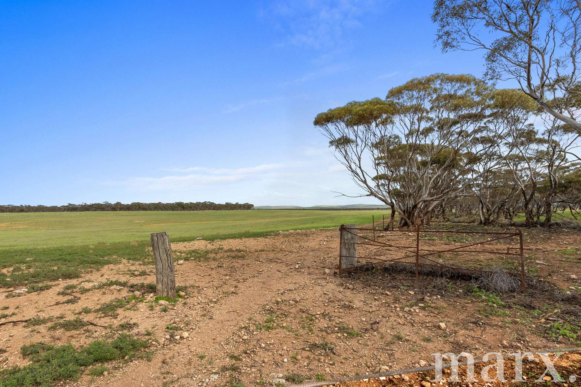 Lot 232 Old Railway Road, Steinfeld For Sale by Farmbuy.com - image 5