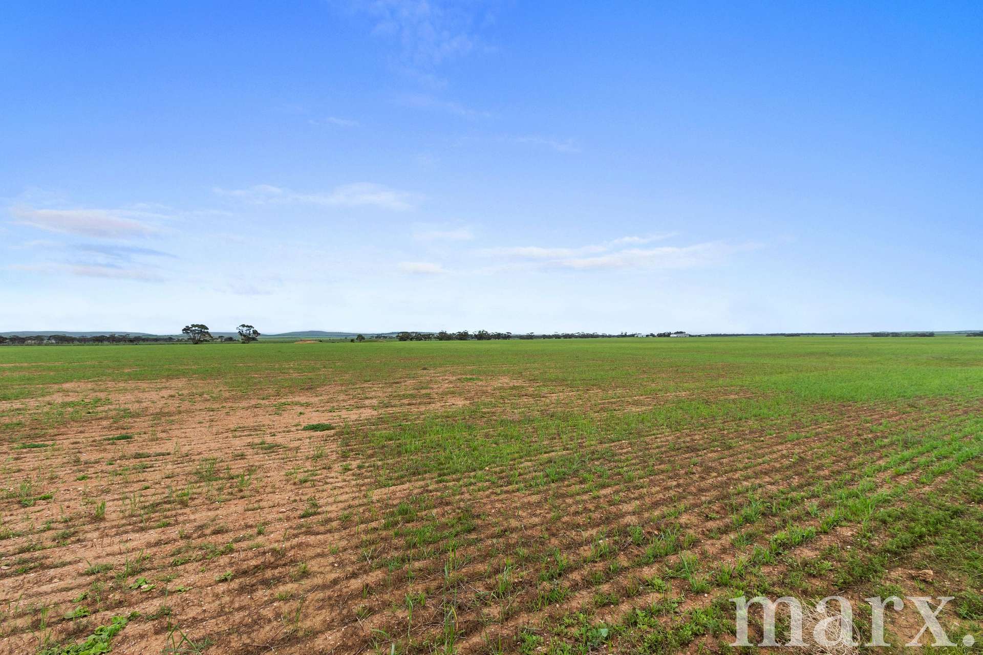 Lot 232 Old Railway Road, Steinfeld For Sale by Farmbuy.com - image 15