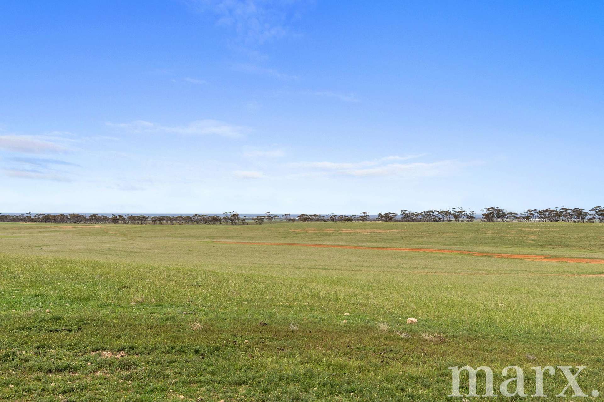 Lot 232 Old Railway Road, Steinfeld For Sale by Farmbuy.com - image 6