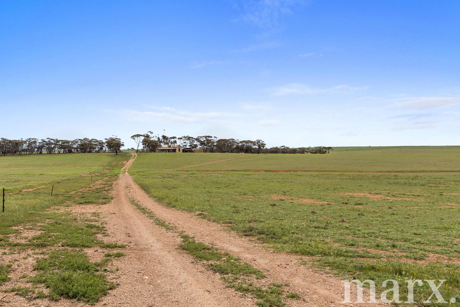 Lot 232 Old Railway Road, Steinfeld For Sale by Farmbuy.com - image 7