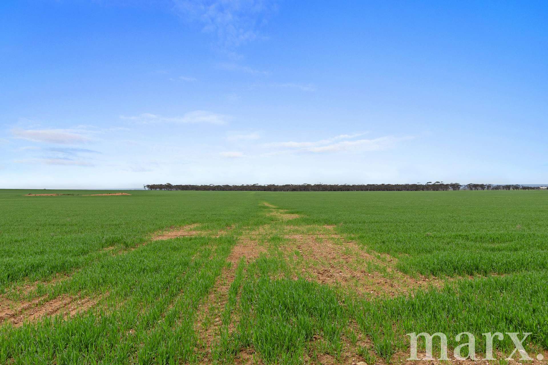 Lot 232 Old Railway Road, Steinfeld For Sale by Farmbuy.com - image 12