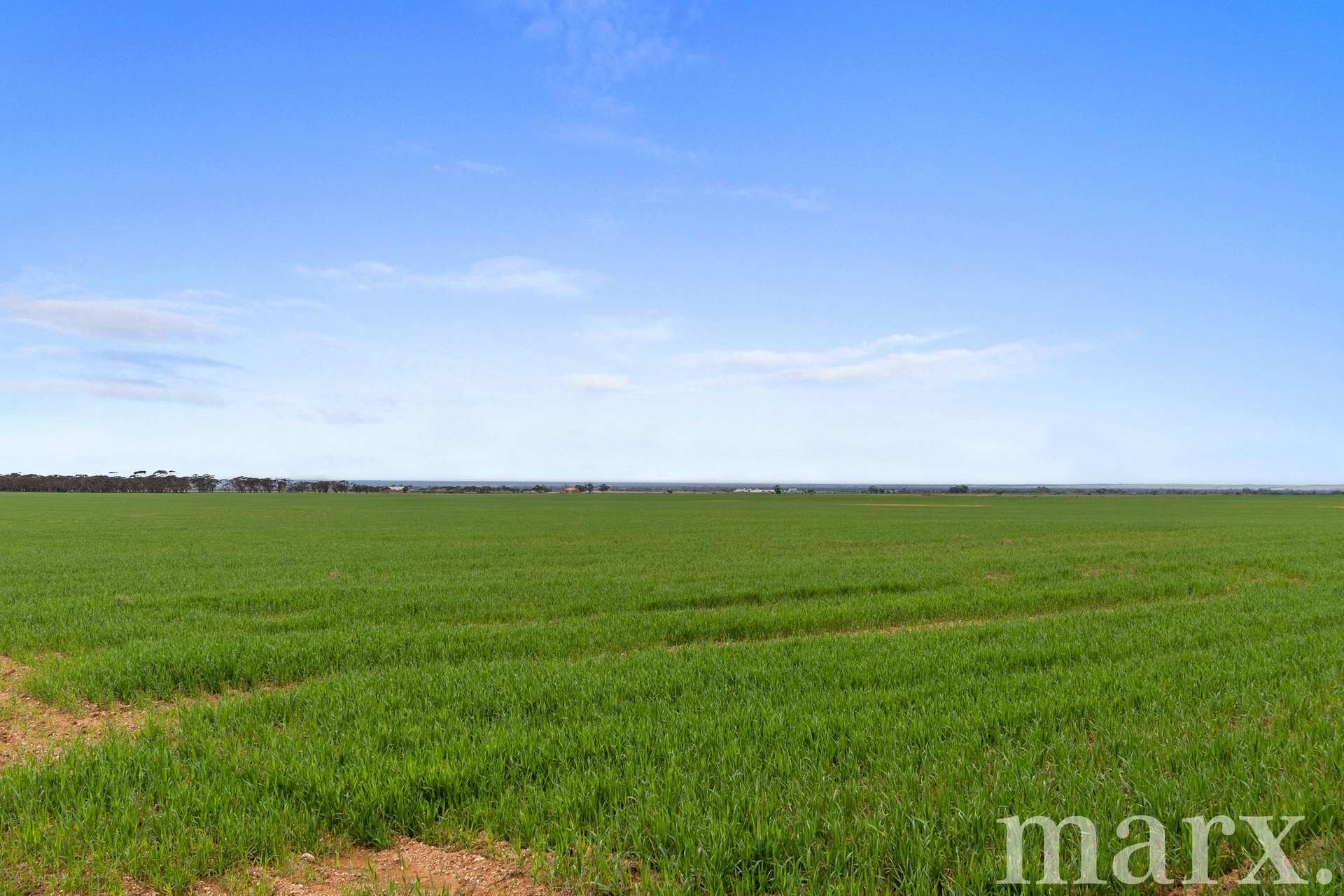 Lot 232 Old Railway Road, Steinfeld For Sale by Farmbuy.com - image 13