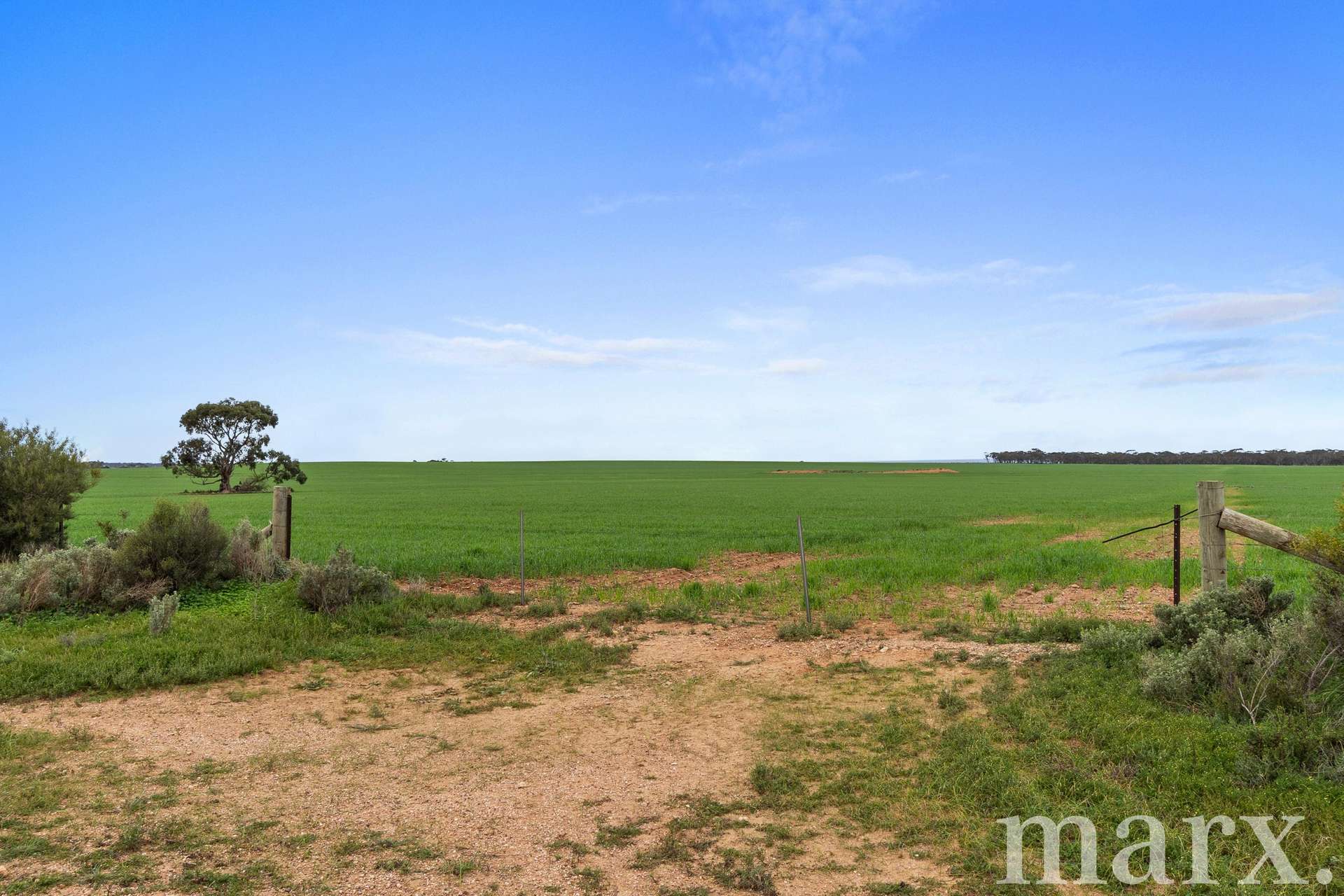 Lot 232 Old Railway Road, Steinfeld For Sale by Farmbuy.com - image 14