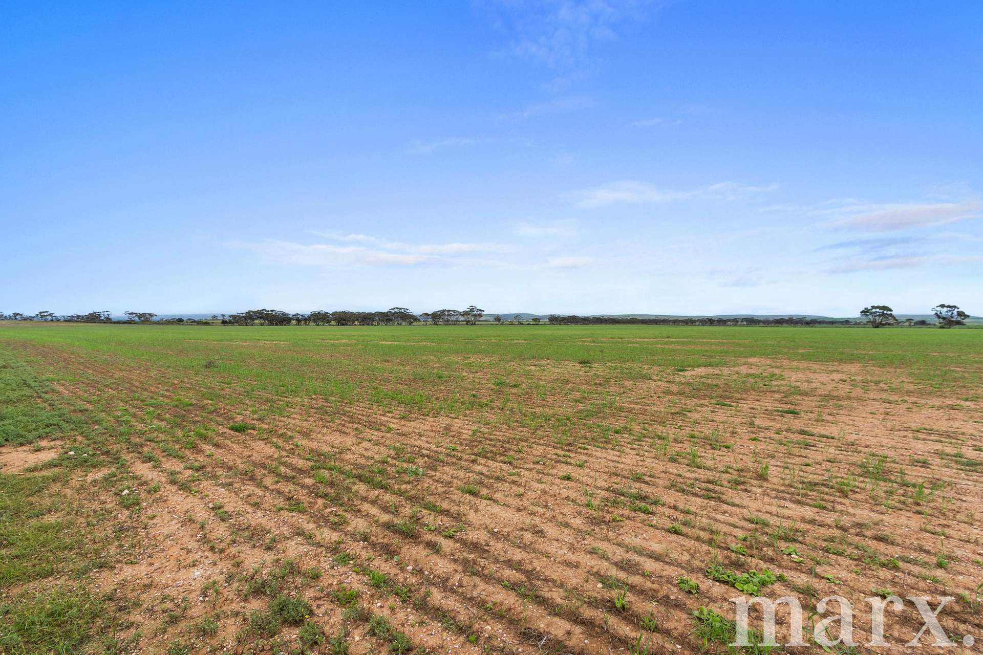 Lot 232 Old Railway Road, Steinfeld For Sale by Farmbuy.com - image 16