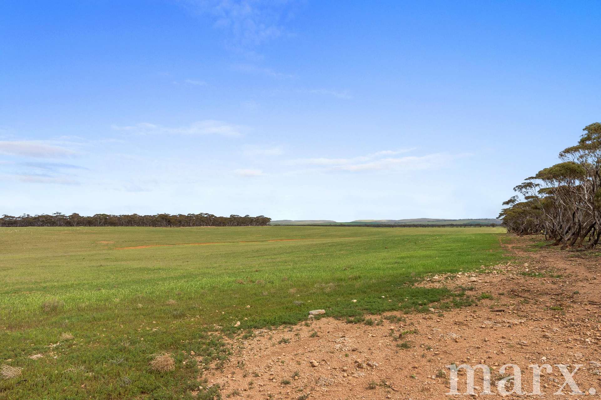 Lot 232 Old Railway Road, Steinfeld For Sale by Farmbuy.com - image 8