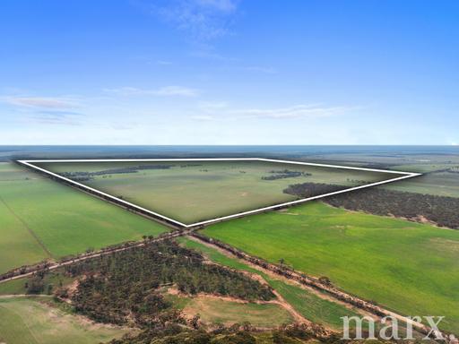 Farm For Sale - SA - Steinfeld - 5356 - Substantial Rural Holding of productive farming land 