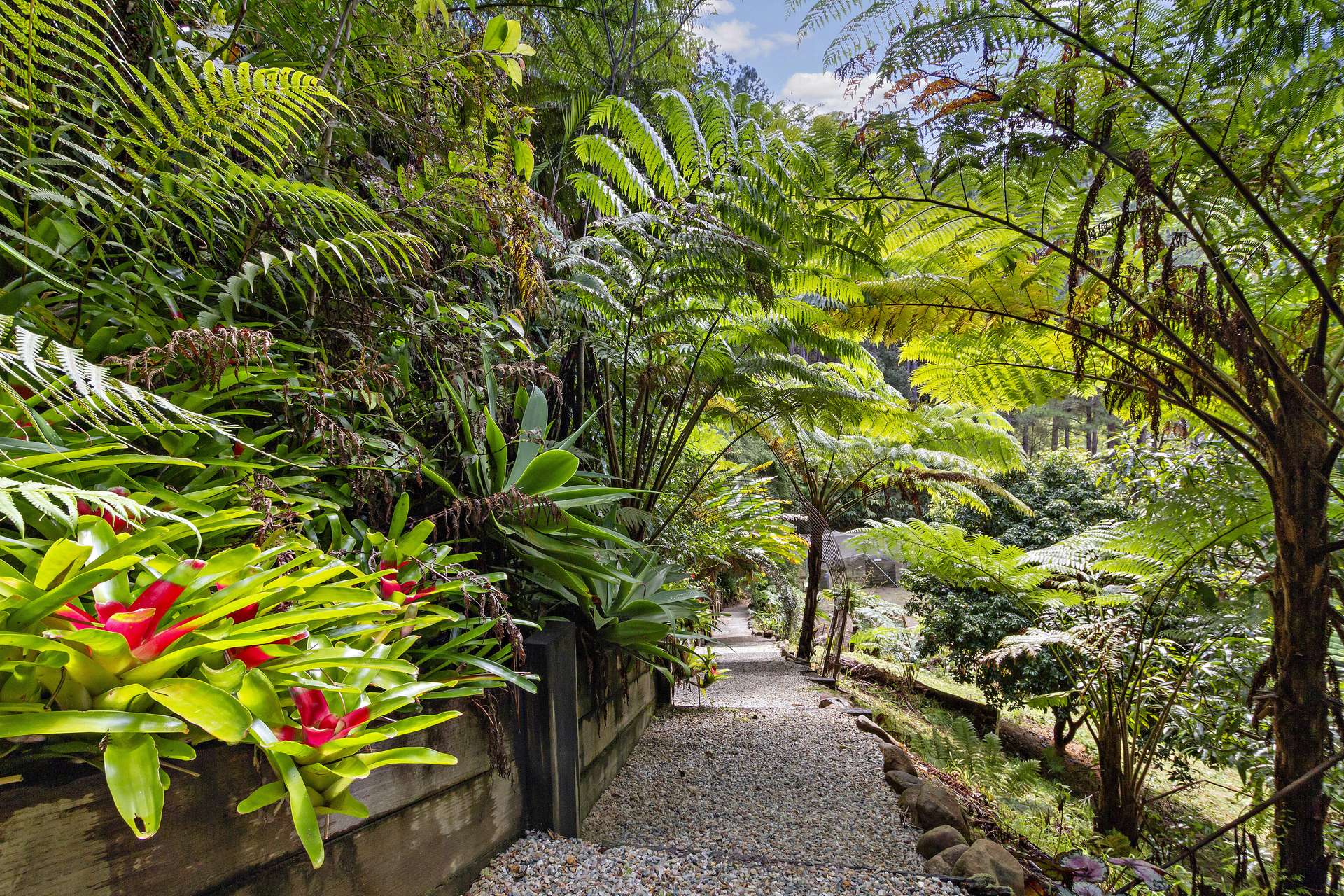 64 Bethongabel Court, Dulguigan For Sale by Farmbuy.com - image 3