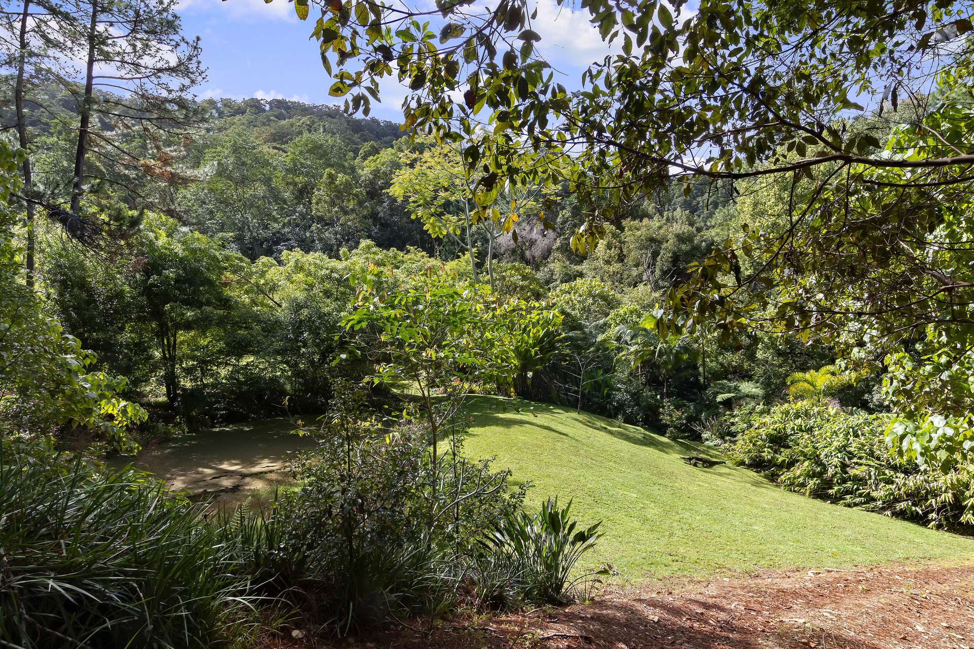 64 Bethongabel Court, Dulguigan For Sale by Farmbuy.com - image 12
