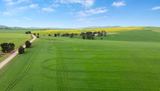 'Wilson Land' Pipeline Road, Gulnare For Sale by Ray White Rural South Australia 